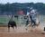 Ty lester sau rodeo team member courtesy south arkansas university rodeo_tiny